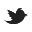 Twitter FENUA srls